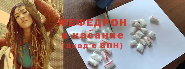 гидра Богородицк