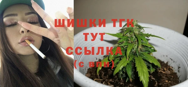 mdpv Бородино