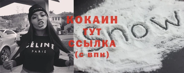 гашик Богородск