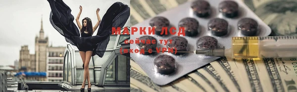 гидра Богородицк