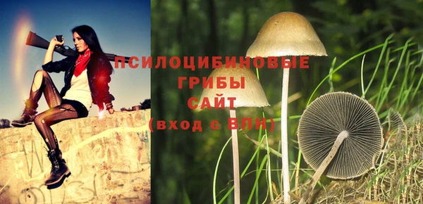 трава Бугульма
