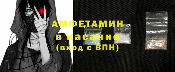 гидра Богородицк