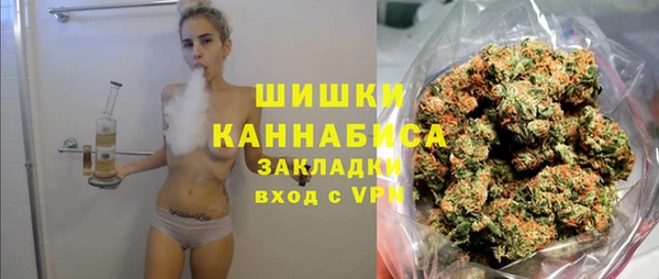 гидра Богородицк