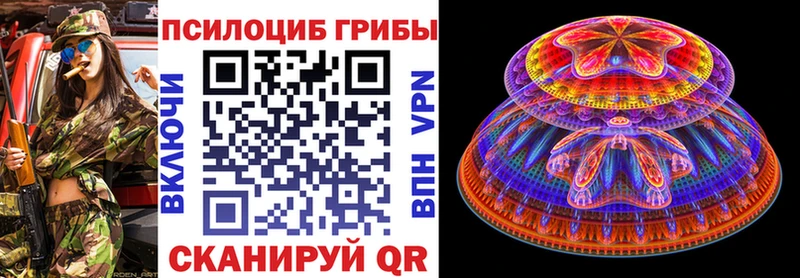 закладка  Певек  kraken tor  Галлюциногенные грибы прущие грибы 
